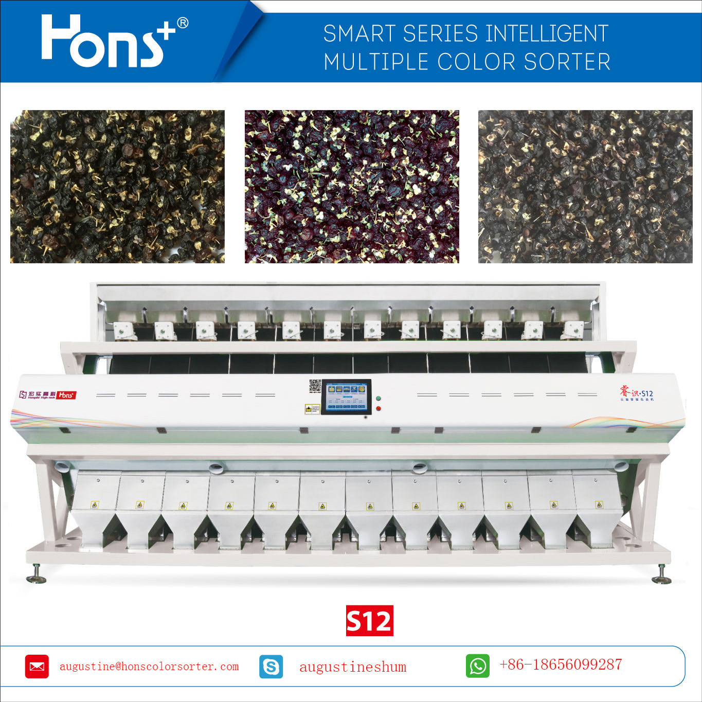 Twelve Chutes black Wolfberry Color Sorter Food grading system