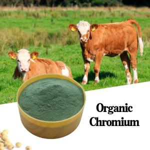 China 8% Chromium Amino Acid Organic Protein Animal Feed Additive Green Powder CAS7440-47-2 wholesale