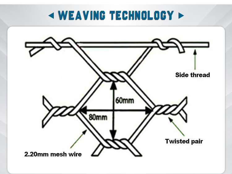 Professional Factory Directly Supply Galvanized Gabion Box Hexagonal Gabion Iron Wire Mesh Woven Gabion Net