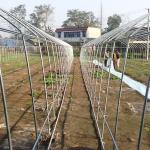 Dome Arch 200 Micron Single-Span Plastic Film Greenhouse Tunnel Plastic
