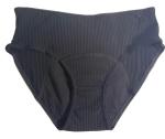 Youth Menstrual Period Panties Underwear Ladies Quick Dried Undies Nylon