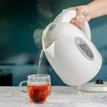 Fast and Trendy Braising Cups Electric Kettle for Clean Drinking Water 1.7L Capacity