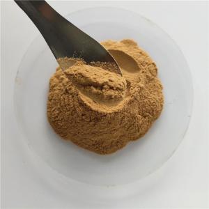 China Medicine Grade broccoli extract with best price wholesale