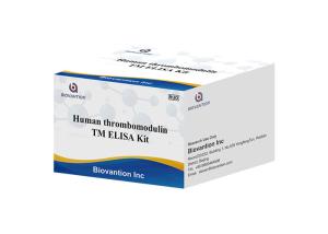 China Human Thrombomodulin TM Fetomodulin CD141 THBD THRM ELISA Kit wholesale