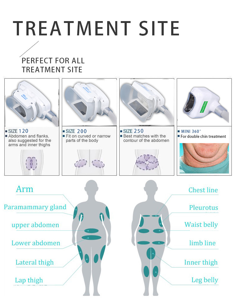Cold Body Cryotherapy Slimming Criolipolyse 6 Hands Cool Tech Sculpting Shape Fat Freezing cryolipolysis Machine