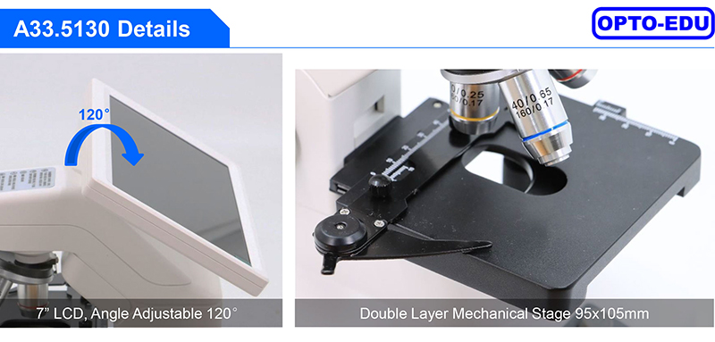 OPTO-EDU A33.5130 Digital Microscope with LED Lights Triple Nosepiece and 8MP Camera