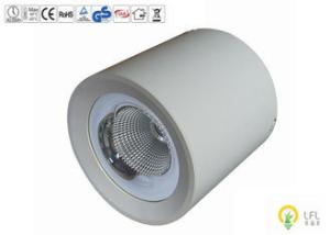 Efficient 50000Hrs IP65 Waterproof Aluminum LED Outdoor Lighting