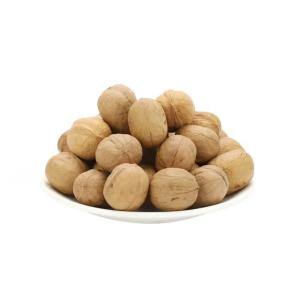 China Walnuts Best Seller Manufacturer Wholesale Premium Organic unshelled walnuts wholesale