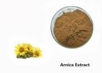 Arnica Plant Extract Powder