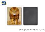 Stunning Lion 3D Image Lenticular Magnet Sticker 0.45mm Thickness For Decoration