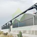 Automated Blackout Multi-span Light Deprivation Mushroom Greenhouse