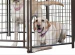 Powder Coating Metal Outdoor Dog Kennel House With Waterproof Cover