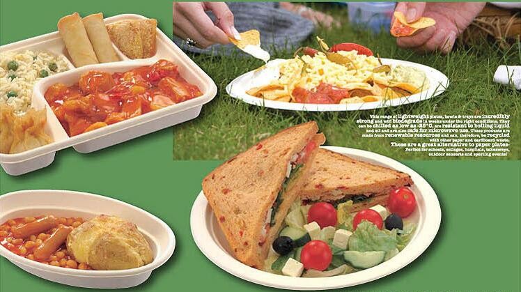 biodegradable eco-friendly dinnerware sugarcane square shaped food tray