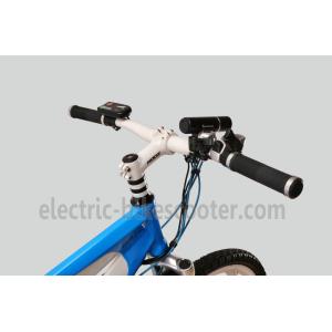 36V 250W Electric Mountain Bicycle , Electric Mountain Bike With Suspension