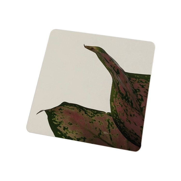 Gray Black Mirror Stainless Steel Sheet 8K Stainless Steel Plate 3.0mm Thickness