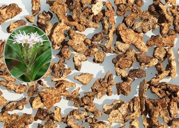 Rhizoma Atractylodis Traditional Chinese Herbal Medicine White For Extract