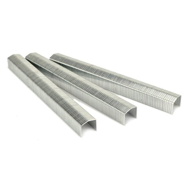 Stcr5019 Series 20 Gauge 11.60mm Crown 12mm Furniture Staple