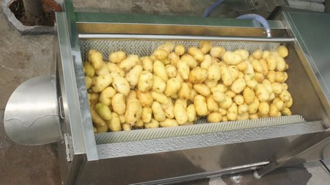 Ginger Peeling Machine