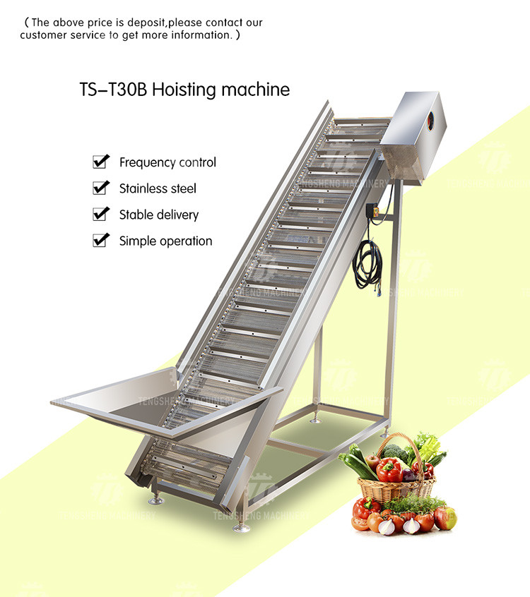 Commercial Electric Vegetable Elevator Machine Food Processor