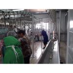 Halal Chicken Slaughterhouse Equipment 200-10000BPH For Poultry Manufacturing