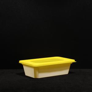 China 650ml PP Lunch Box Leak Proof For Food Storage For Outdoor Picnic wholesale
