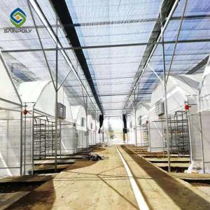 China Herbs 200 Micron PE 30m Light Deprivation Greenhouse wholesale