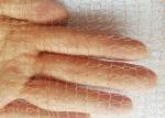 Pest Control 5 Inch Copper Mesh Vendor