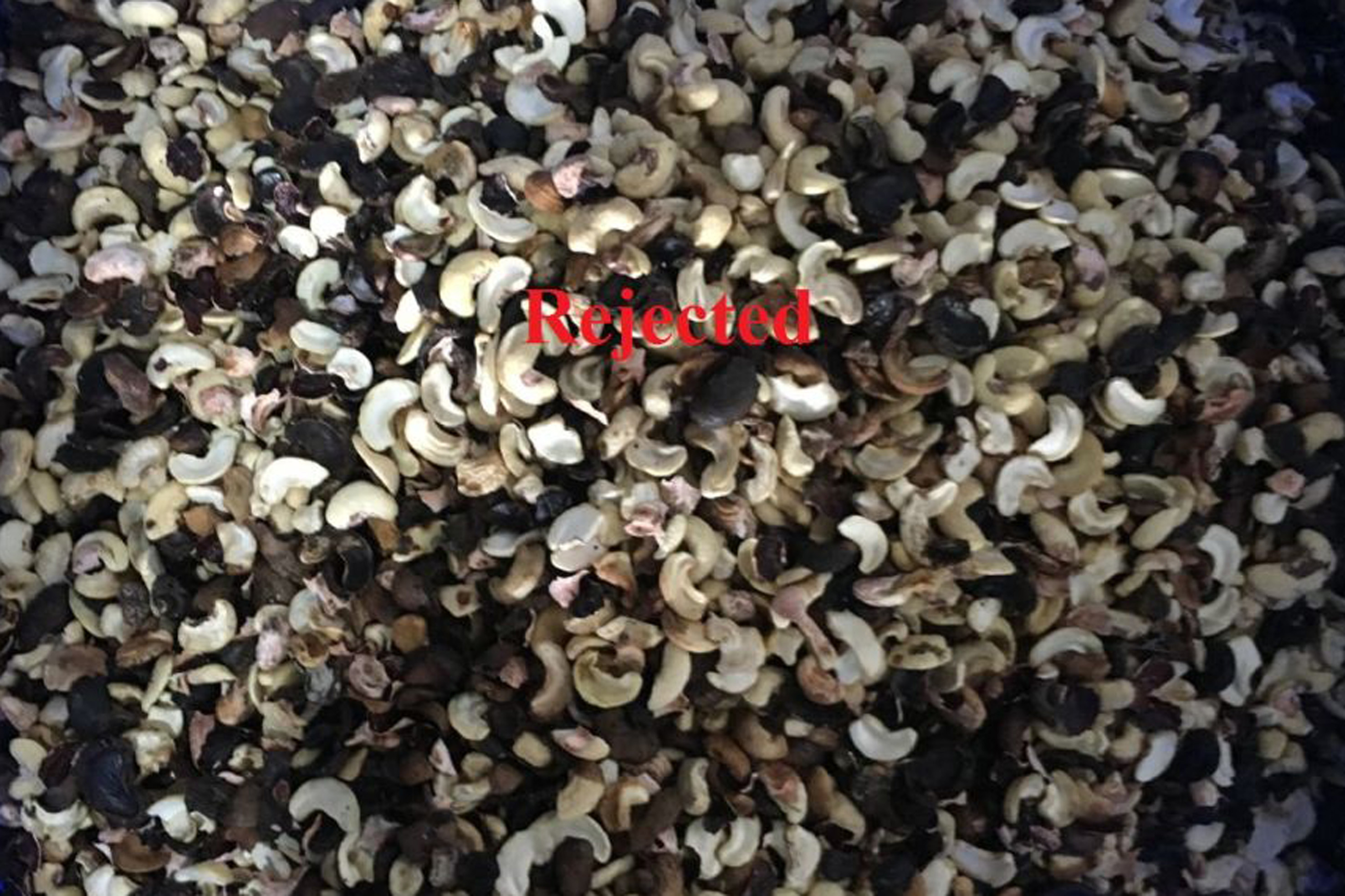 Two Channels Cashew Nuts Color Sorter Full Color 99.9% Sorting Accuracy