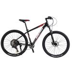 Custom Carbon Fiber Frame Mountain Bike Bicycle with Ltwoo A12 12s Gear 26/27.5