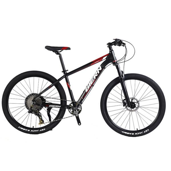 Custom Carbon Fiber Frame Mountain Bike Bicycle with Ltwoo A12 12s Gear 26/27.5