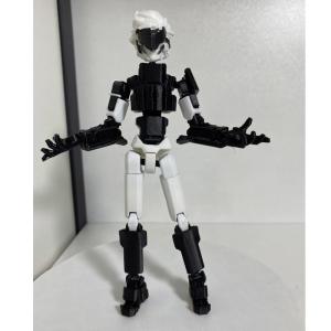 China Manufacturer Wholesales 3D Printed Products Black-White Dummy13 wholesale