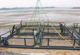 China BSI Farm PE100 Fish Net Cage Diameter Customized wholesale