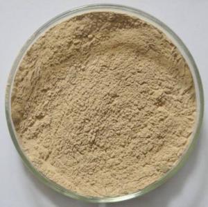 China 50% Chlorogenic Acid Organic Pure Green Coffee Bean Extract wholesale