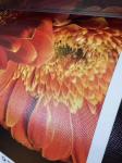 No Faint 300g Inkjet Printable Canvas Waterproof Polyester canvas