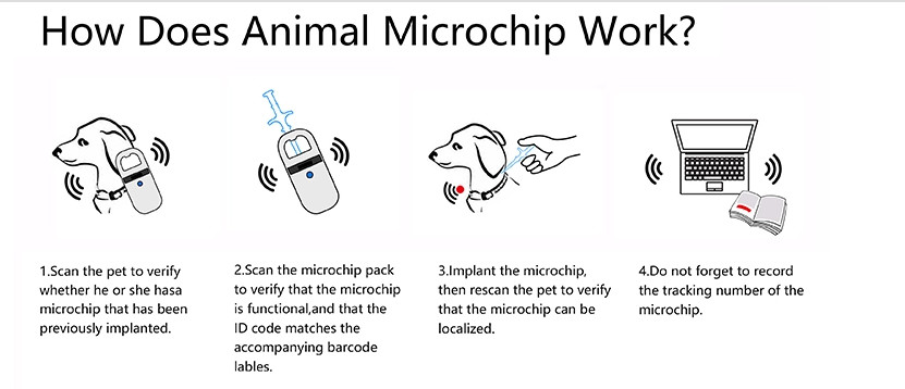 ISO11784/5 134.2Khz Lower Frequency Animal ID Microchip For Pets Identification