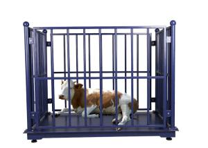 China Dynamic ODM 100Kg Weighing Scale For Live Pigs wholesale