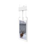 Commercial Transparent OLED Touch Screen Standalone Clear OLED