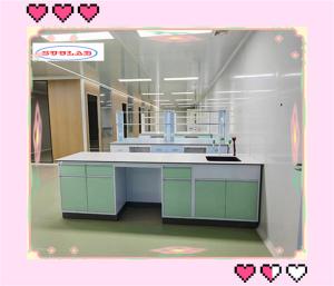 China Cold-rolled Steel Frame Chemistry Lab Furnitures with Glass Shelf wholesale