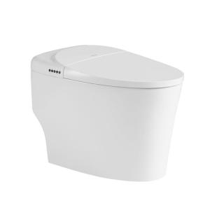 China Women Modern Smart Toilet Electric Automatic Flush Intelligent Closet WC on sale