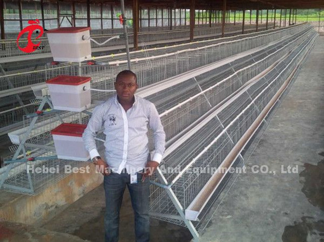 500 To 30000 Birds Layer Battery Cage System For Poultry Farming Star