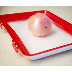 China Freezer Safe 20x22.5cm PP Food Preservation Clever Tray wholesale