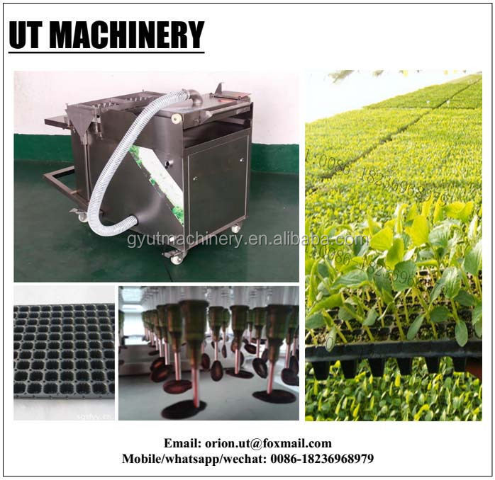 Stainless Steel Tray Tomato Seeding Machine Vacuum Seeder with Precision Planter