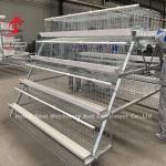 Feeding Trough Of Chicken Poultry Farming Cage System In Nigeria Ghana Zambia