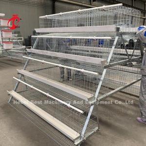 China A And H Chicken Cage Equipment For Raising Chickens Farm Doris wholesale