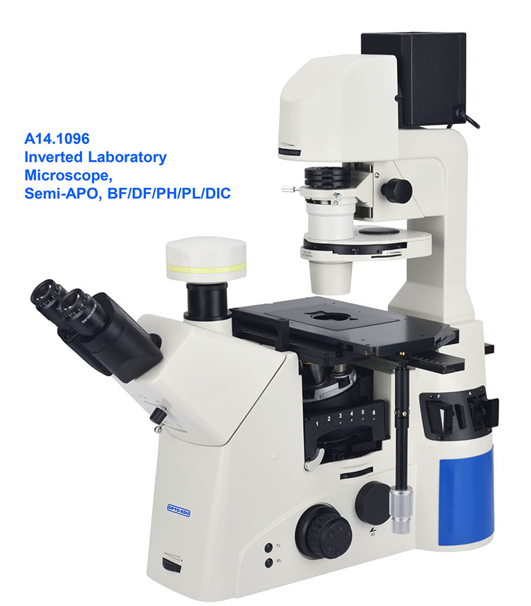 OPTO EDU A14.1097 SW10x Inverted Biological Microscope SW10x/22mm