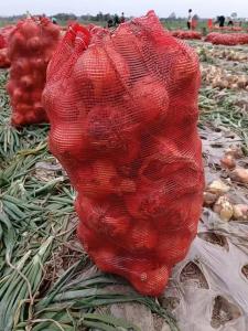 China PP Drawstring Mesh Netting Bags Vegetables Packing Onion Potatoes wholesale