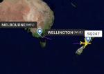 Safety Air Freight From China To Oceania Wellington With Consolidation Service