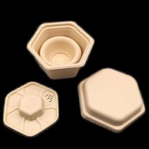 China Hexagonal Travel Compostable Disposable Tea Pot Corn Starch Tea Set Pot wholesale