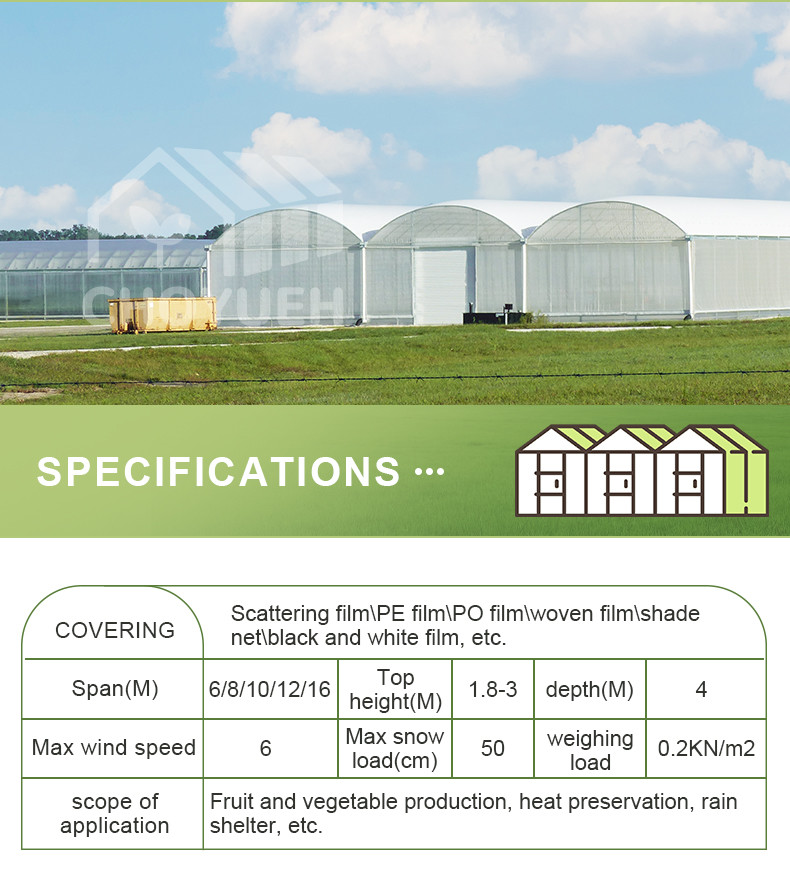 Double Layer PE Film Multi Span Film Greenhouse With Hydroponic System