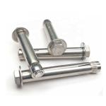 Passivation Sleeve Anchor Bolt AISI 8 M6-M12 Stainless Steel